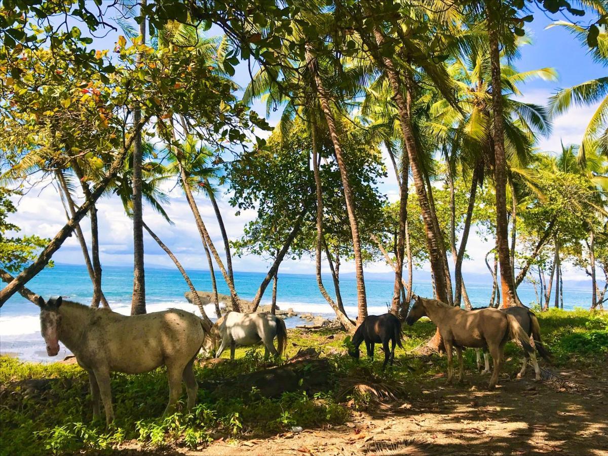 Brahman Bungalows On Pavones Point Eksteriør bilde