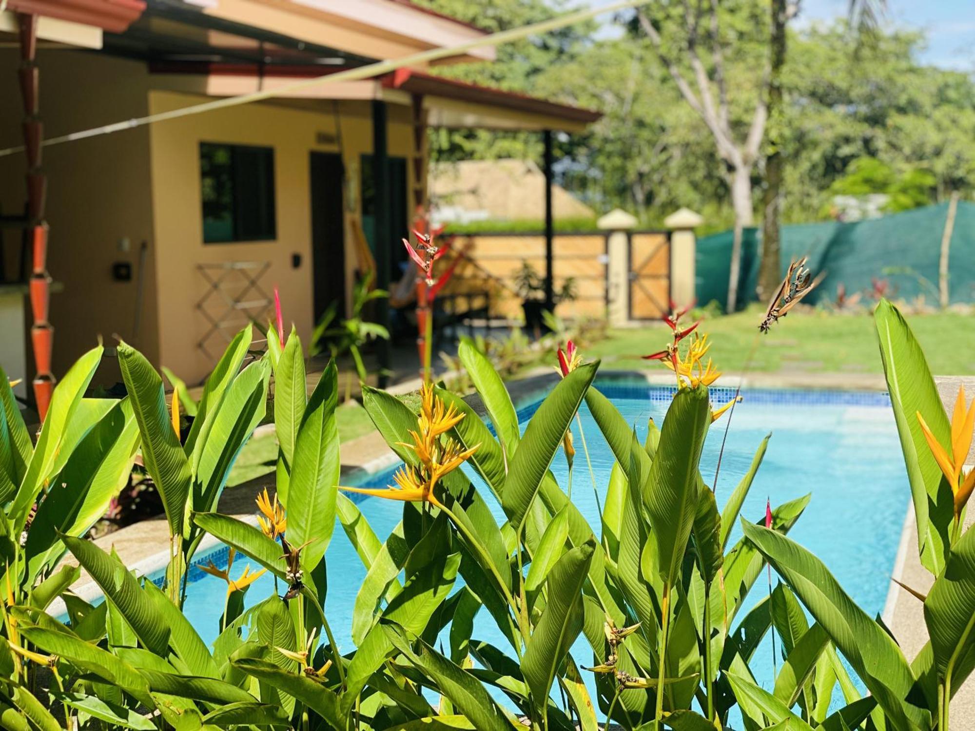 Brahman Bungalows On Pavones Point Rom bilde
